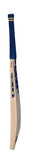 GM Cricket Bat Adults Brava DXM Premier