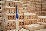 GM Cricket Bat Adults Brava DXM Premier
