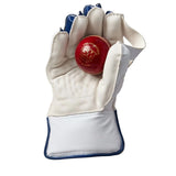 GM Cricket 24 Keeping Gloves Yth Mana