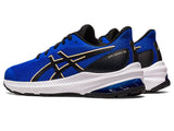 Asics Youths Shoe GT-1000 12 GS (402)