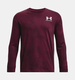 UA Boys Tee Logo LC AOP LS 600