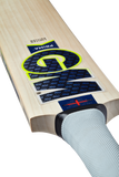 GM Cricket Bat Youths Prima Premier