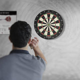 Shot Dartboard Rogue