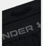 UA Mens Shorts Woven Vanish 6in