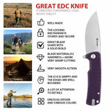 Ganzo Pocket Knife F769-BK