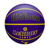 NBA Player Icon Outdoor Basketball Lebron