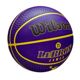 NBA Player Icon Outdoor Basketball Lebron