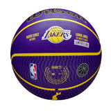 NBA Player Icon Outdoor Basketball Lebron