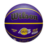 NBA Player Icon Outdoor Basketball Lebron