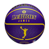 NBA Player Icon Outdoor Basketball Lebron