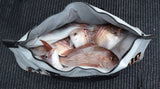 Kai Cooler Fish Bag 1000