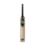 GM Cricket Bat Adults Aion Premier 404 (SH)