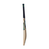GM Cricket Bat Adults Aion Premier 404 (SH)