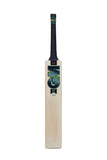 GM Cricket Bat Jnr's Aion Premier 606 (6)