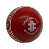 GN Cricket Ball Wonderball Jnr